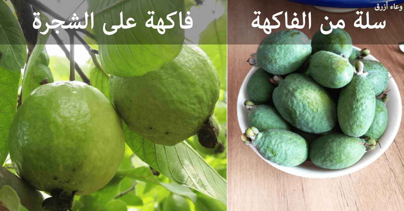 كيفية الاستمتاع بالجوافة يوميًا لدعم صحة عينيك طبيعيًا: نصائح ووصفات بسيطة