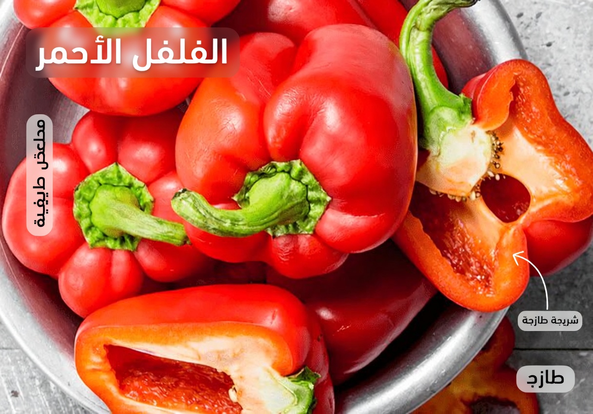 اكتشف عادات يومية بسيطة يمكن أن تدعم صحة كليتيك بشكل طبيعي وتعزز عافيتك اليومية