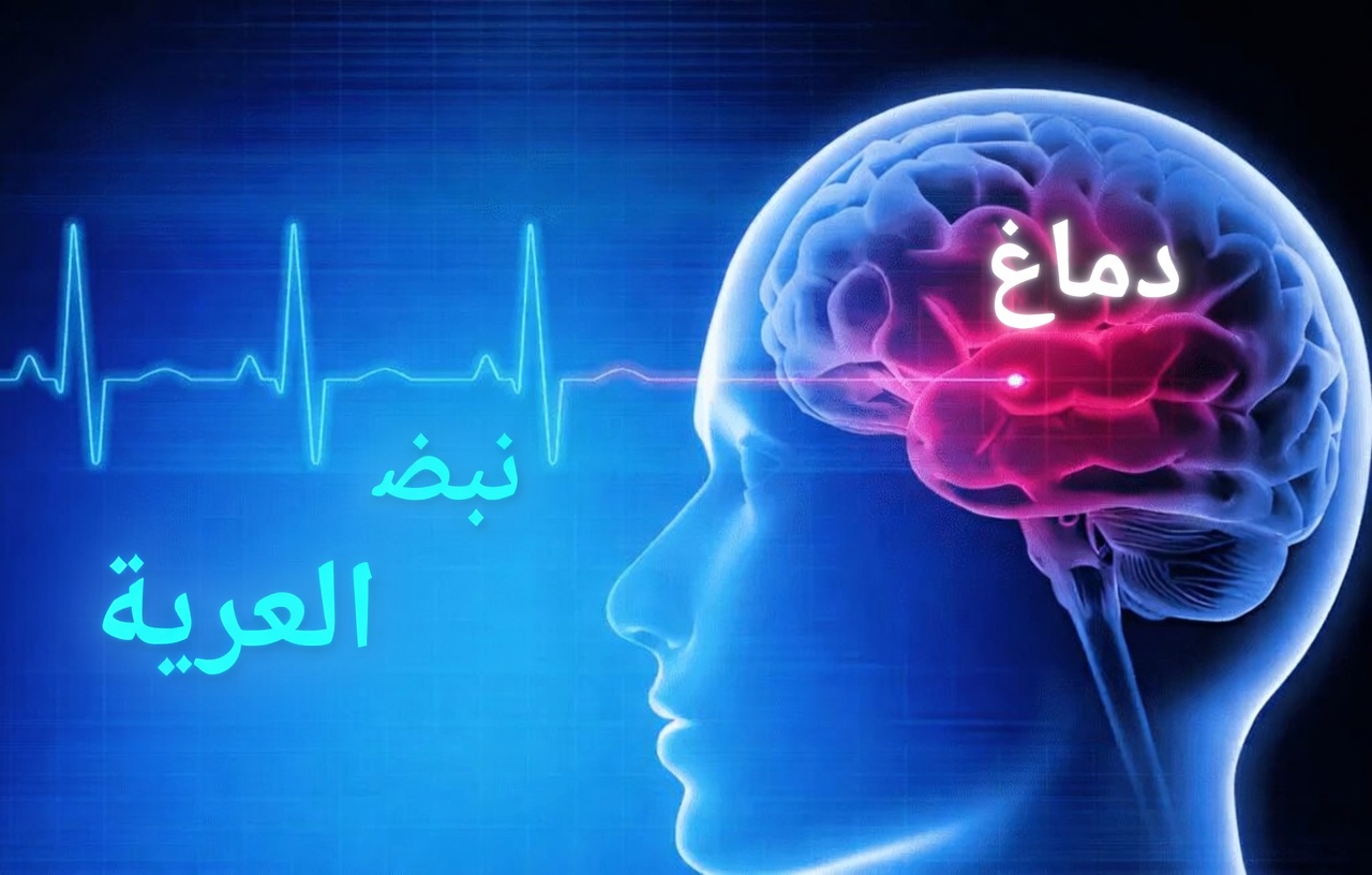 هل يمكن أن يكون اختبارك لهذا أثناء نومك إشارة مهمة لصحة دماغك؟ ماذا يقول الخبراء