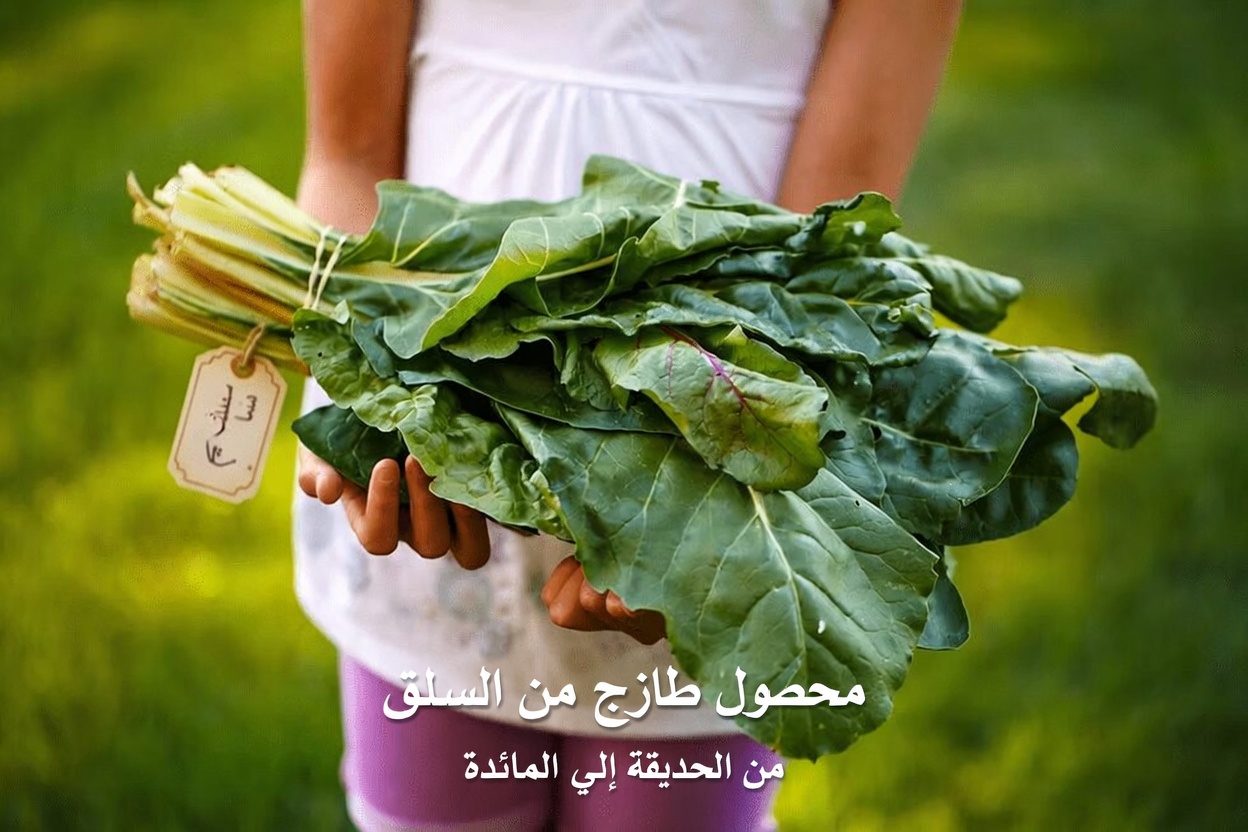 ما أفضل الأطعمة الطبيعية التي ينبغي تناولها يوميًا بعد سن الخمسين لمزيد من الطاقة والحيوية؟