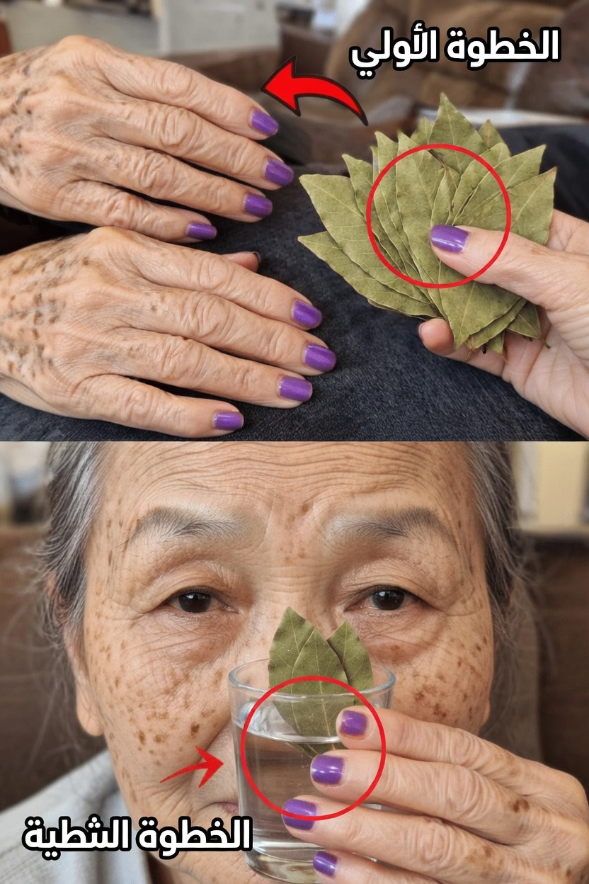 أوراق الغار للعناية بالبشرة: لماذا يزداد الاهتمام بهذا المكوّن الأساسي في المطبخ ضمن روتين الجمال المنزلي