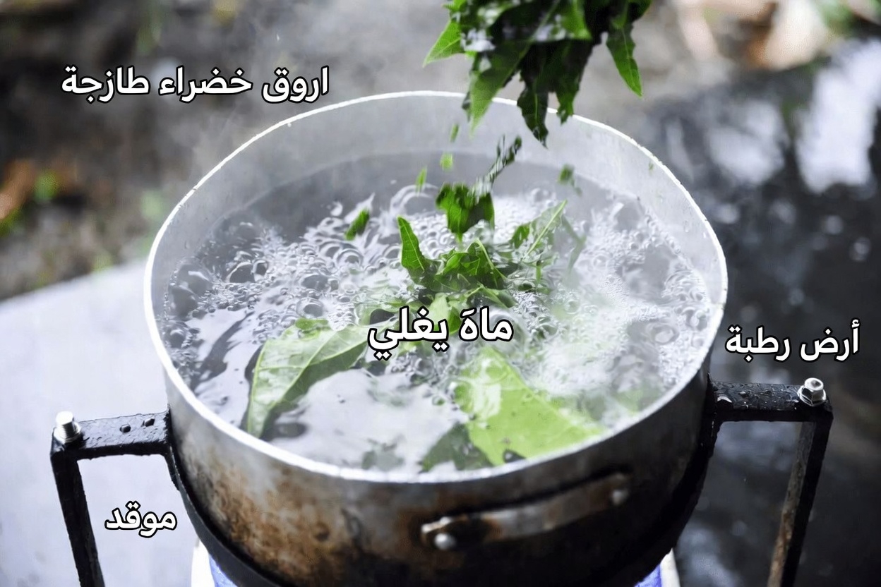 اكتشف كيفية تحضير شاي أوراق البابايا في المنزل: نصائح بسيطة لروتينك اليومي للعافية