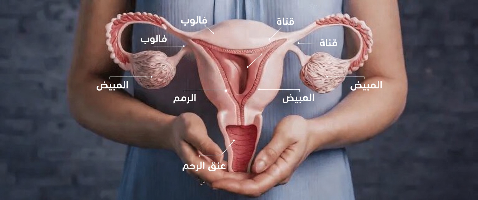 ما الذي يجب أن تعرفه كل امرأة عن أعراض الانتباذ البطاني الرحمي وأسبابه ونصائح عملية لنمط حياة أفضل لأيام أفضل