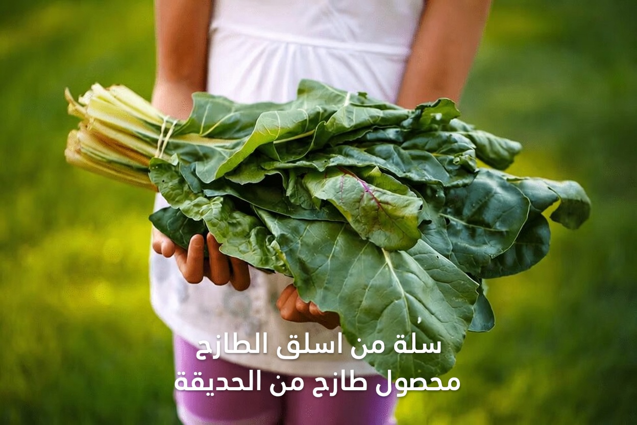 ما هي أفضل الأطعمة الطبيعية التي يجب تناولها يوميًا بعد سن الخمسين لمزيد من الطاقة والحيوية؟