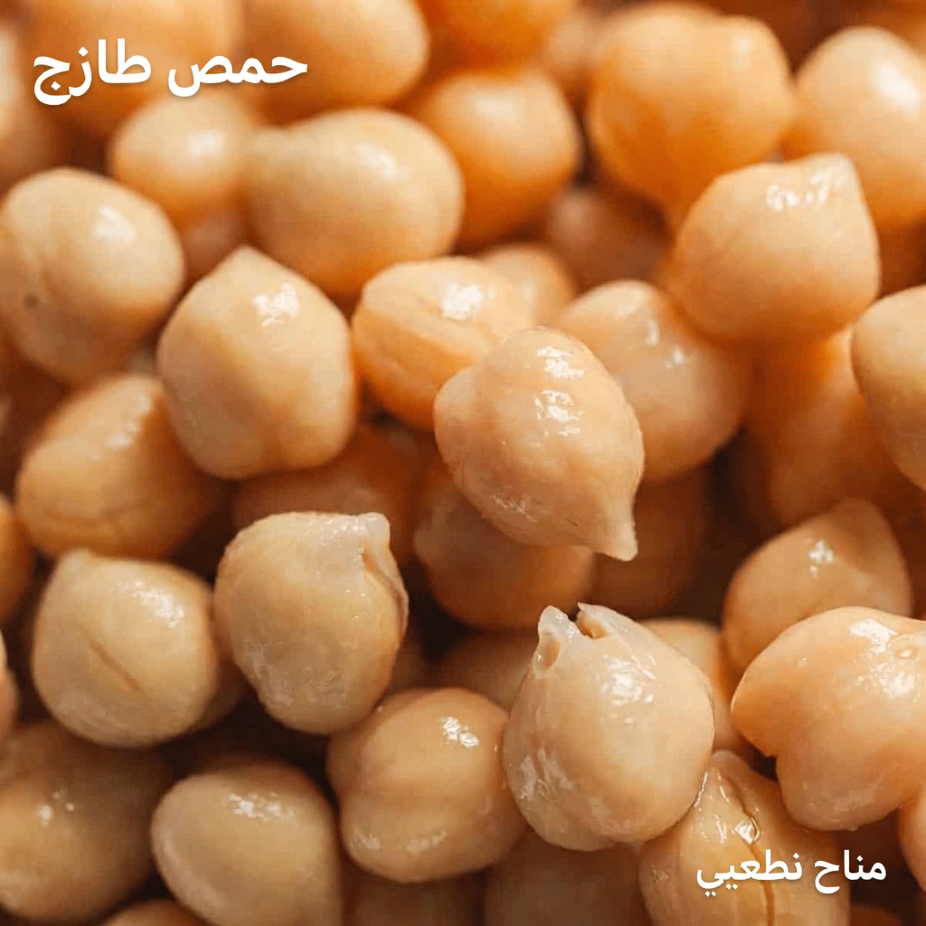 كبار السن، لا تتناولوا هذه الأنواع الستة من البروتين إذا كنتم تعانون من مشاكل في الكلى (+ 4 أنواع آمنة)