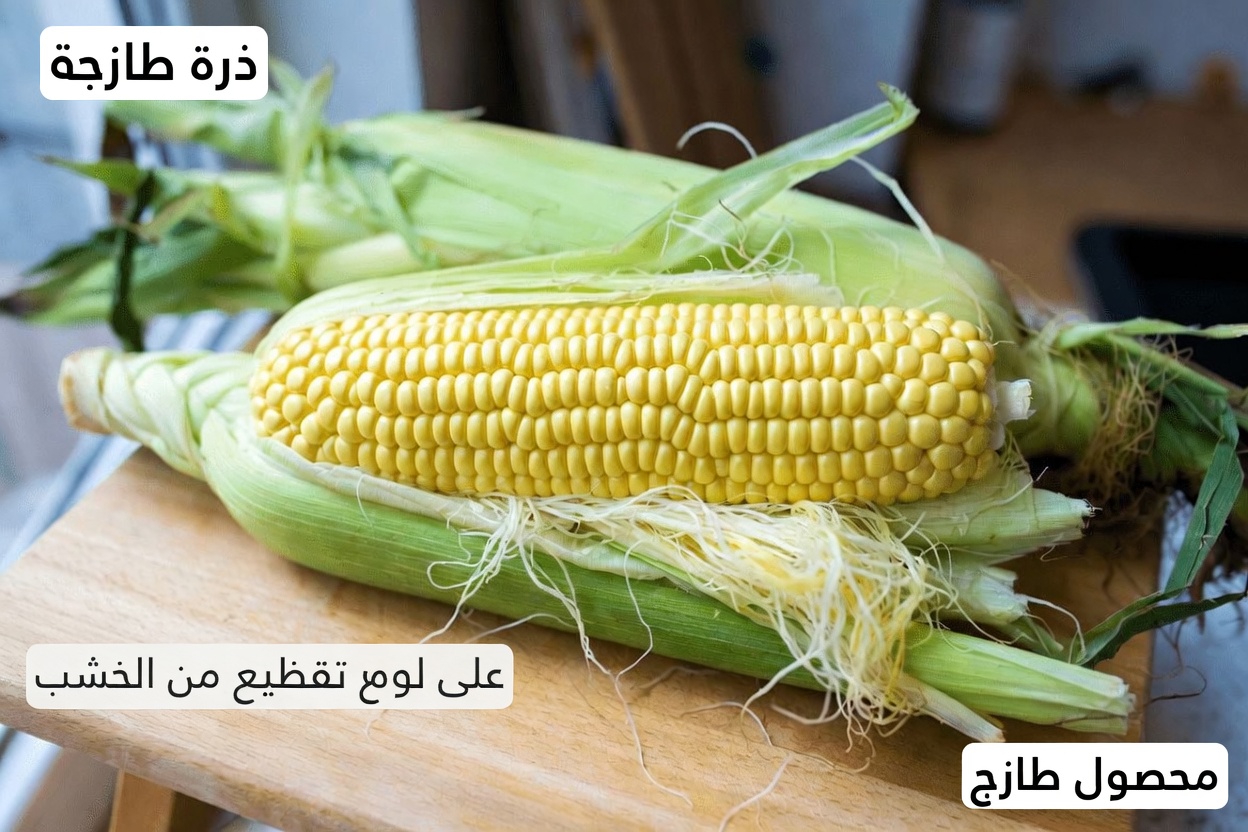 اكتشف 12 من الأطعمة الخارقة اليومية التي قد تساعد في دعم مستويات الكرياتينين الصحية وتعزيز وظائف الكلى بشكل طبيعي