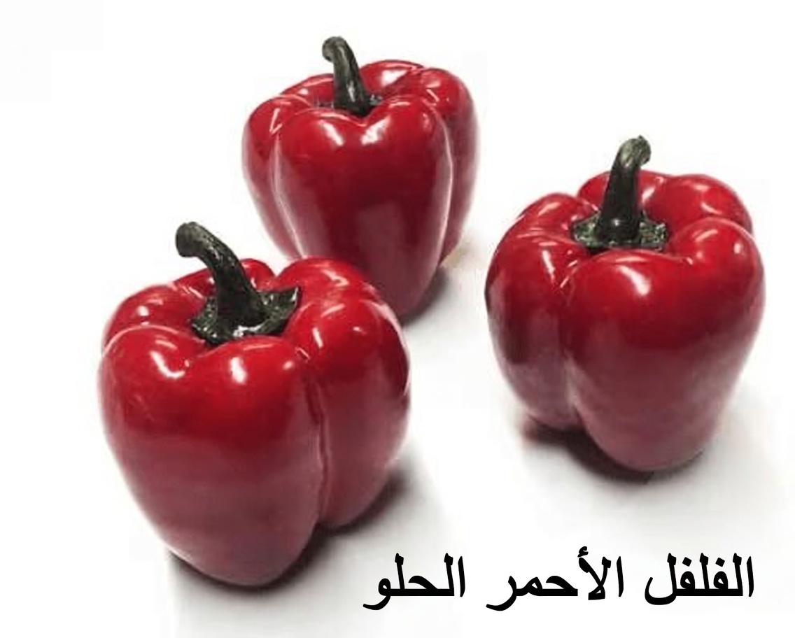 اكتشف 12 من الأطعمة الخارقة اليومية التي قد تساعد في دعم مستويات الكرياتينين الصحية وتعزيز وظائف الكلى بشكل طبيعي