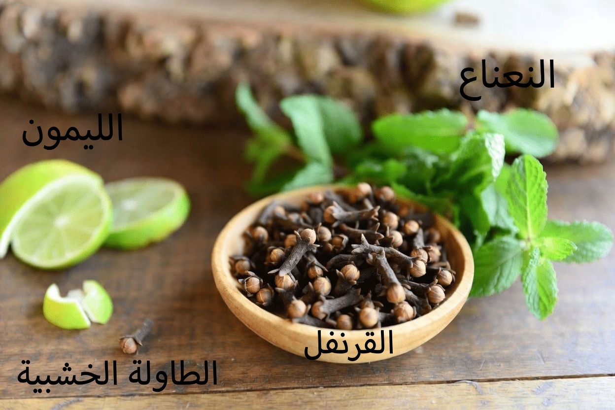 اكتشف كيف يمكن لمشروب الليمون المنعش بالقرنفل والنعناع أن يدعم عافيتك اليومية وعادات الدورة الدموية لديك