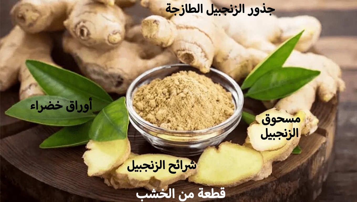 ما هي أفضل 3 أعشاب طبيعية لدعم تدفق الدم الصحي والحفاظ على راحة الساقين يوميًا؟