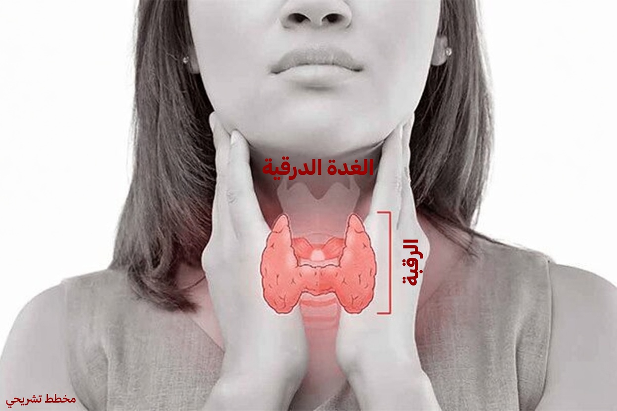 المزيج البسيط للمطبخ المكوّن من 3 مكونات الذي يستخدمه الكثيرون لدعم صحة الغدة الدرقية طبيعيًا