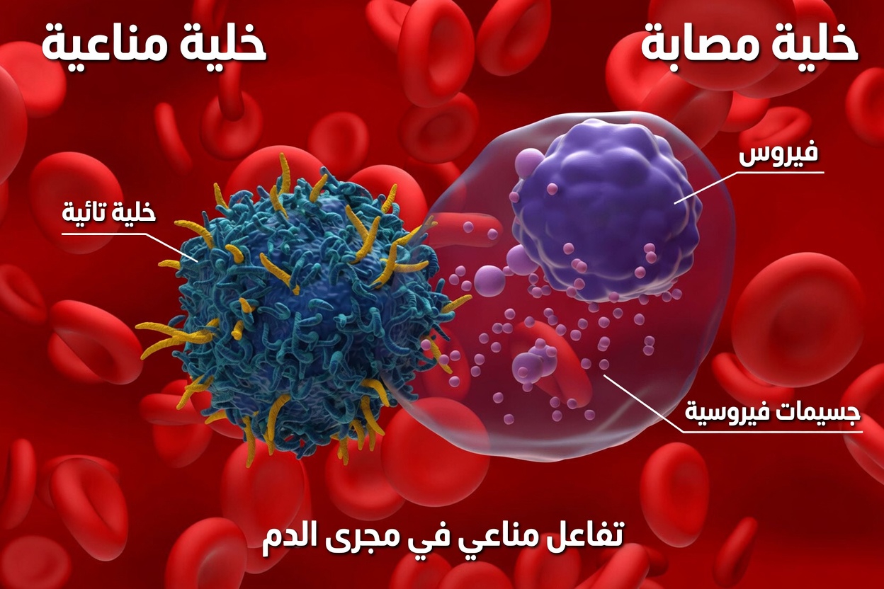 استكشاف أحدث الأبحاث حول علاج الخلايا التائية CAR-T للحالات المناعية الذاتية