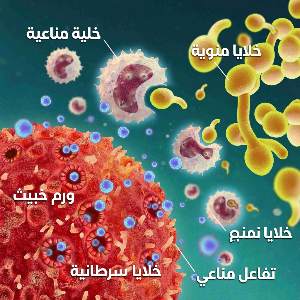 استكشاف أحدث الأبحاث حول علاج الخلايا التائية CAR-T للحالات المناعية الذاتية