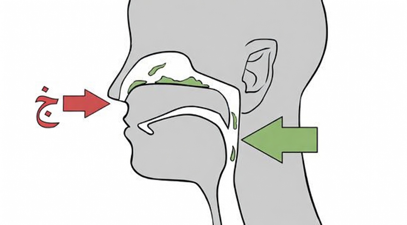 لماذا لديك بلغم زائد في حلقك؟ أهم الأسباب ونصائح منزلية يومية للتعامل معه