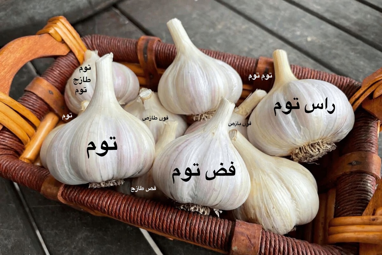 5 أطعمة يومية قد تساعد في تحسين تدفق الدم إلى ساقيك – طبيب أوعية دموية يسلّط الضوء على ما يغفل عنه كثيرون