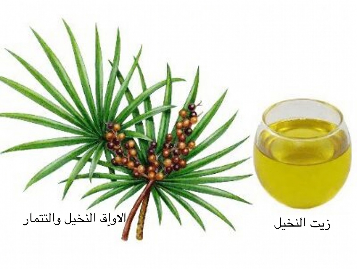 ما تحتاج إلى معرفته عن عشبة واحدة يستكشفها كثير من الرجال لدعم صحة البروستاتا