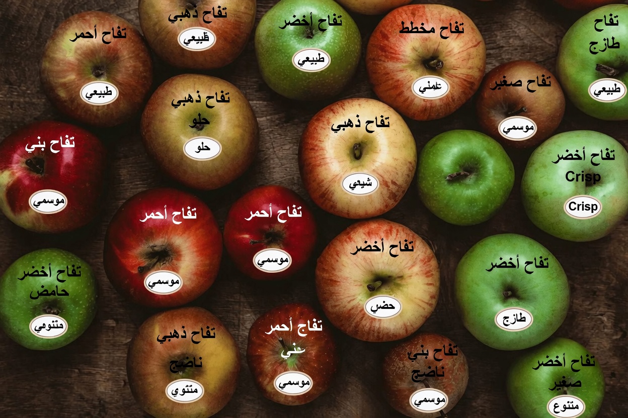 ارتفاع الكرياتينين؟ 4 فواكه يجب أن تتناولها ليلًا لدعم عملية إزالة السموم الطبيعية في جسمك