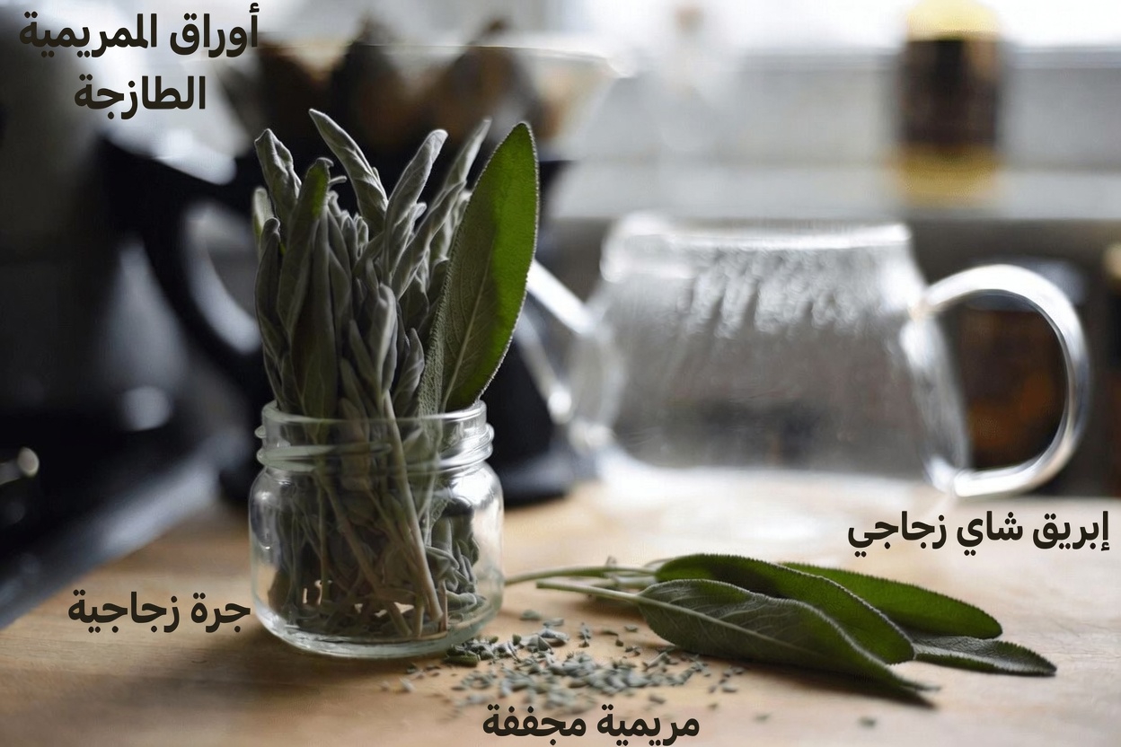 كوب واحد من شاي الميرمية قبل النوم: استكشاف دوره في دعم مستويات السكر الصحية في الدم