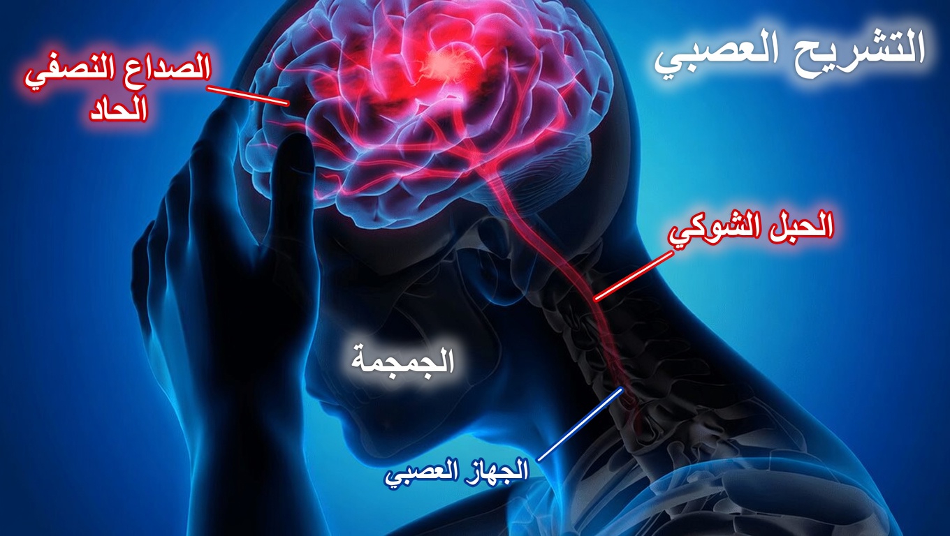 علامات تحذيرية تدل على أن جسمك على وشك الإصابة بسكتة دماغية ولا ينبغي لك تجاهلها أبداً
