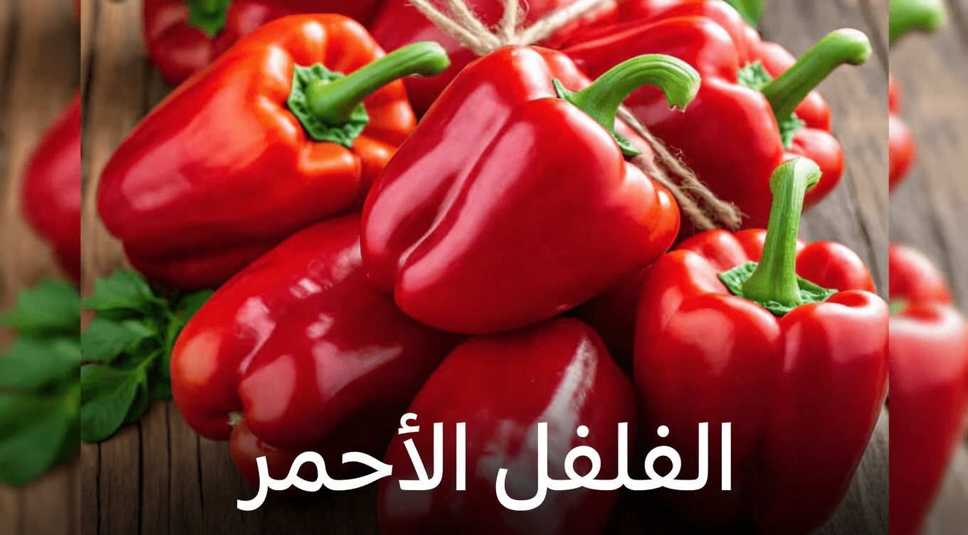 هل تساعد العادات اليومية والأطعمة في دعم صحة كليتيك بشكل طبيعي؟ اكتشف طرقًا بسيطة لتعزيز وظائف الكلى بشكل أفضل