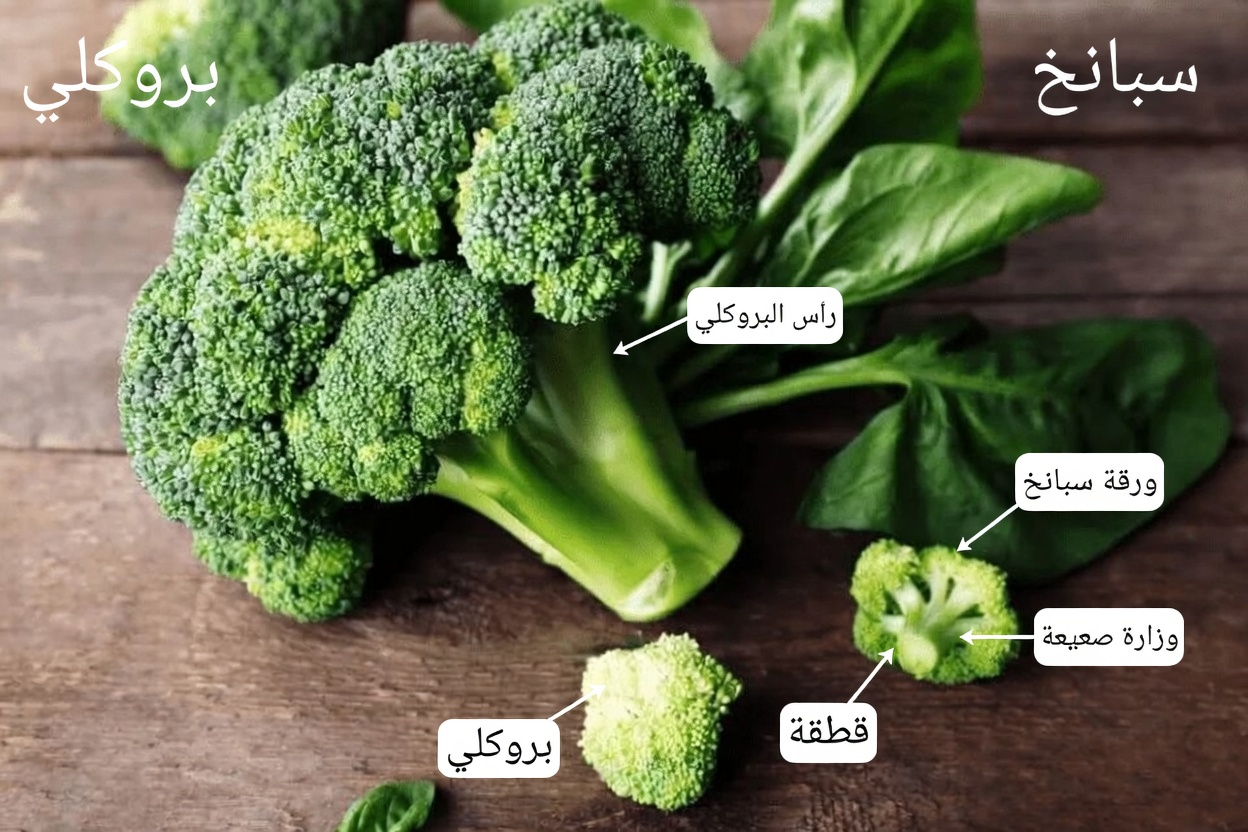 اكتشف نوعين من الخضروات اليومية التي تدعم بشكل طبيعي إنتاج الكولاجين في ركبتيك ومفاصلك