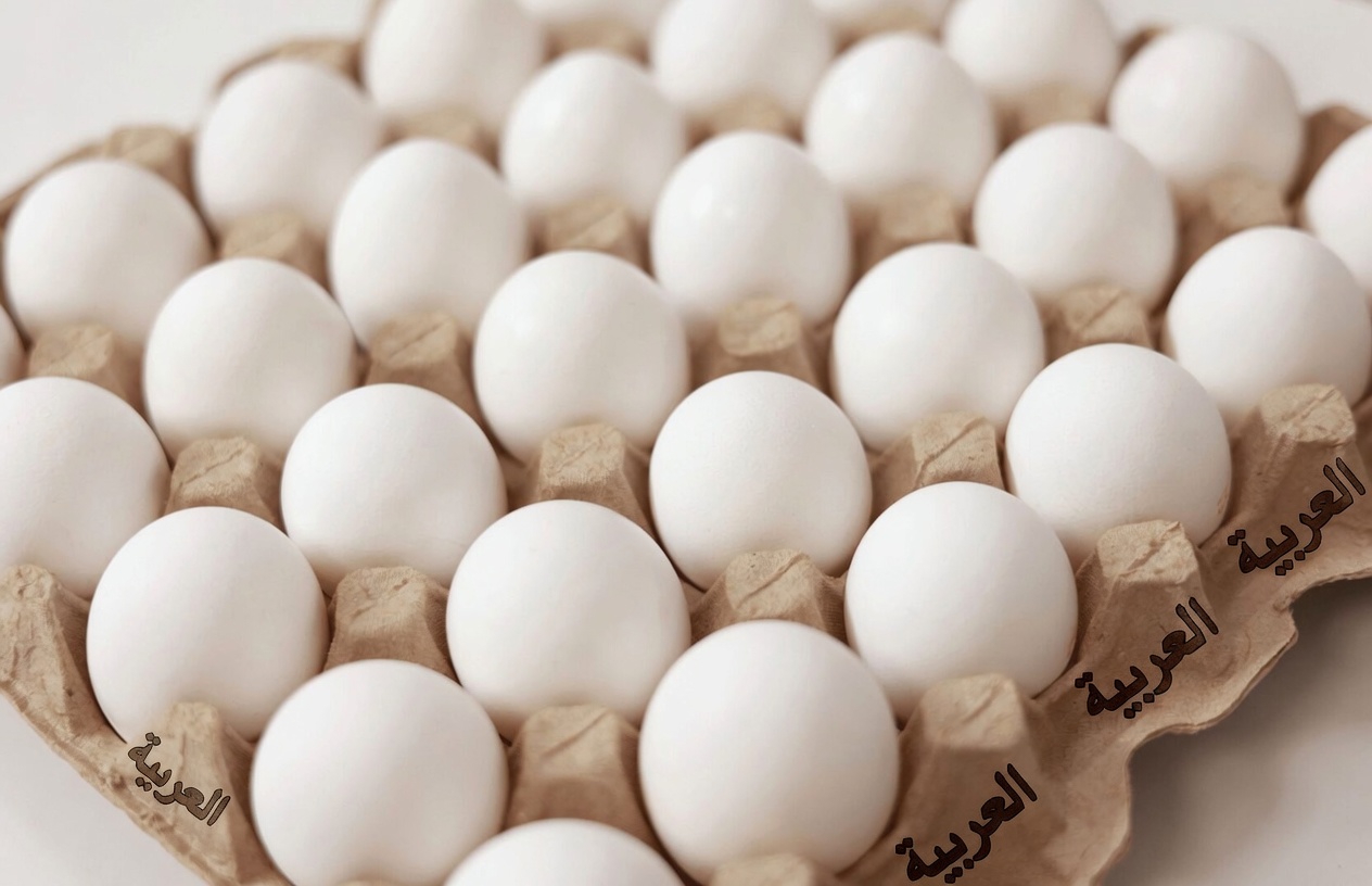 7 أطعمة يومية يمكن أن تساعد في دعم صحة العضلات مع بلوغك السبعينيات وما بعدها