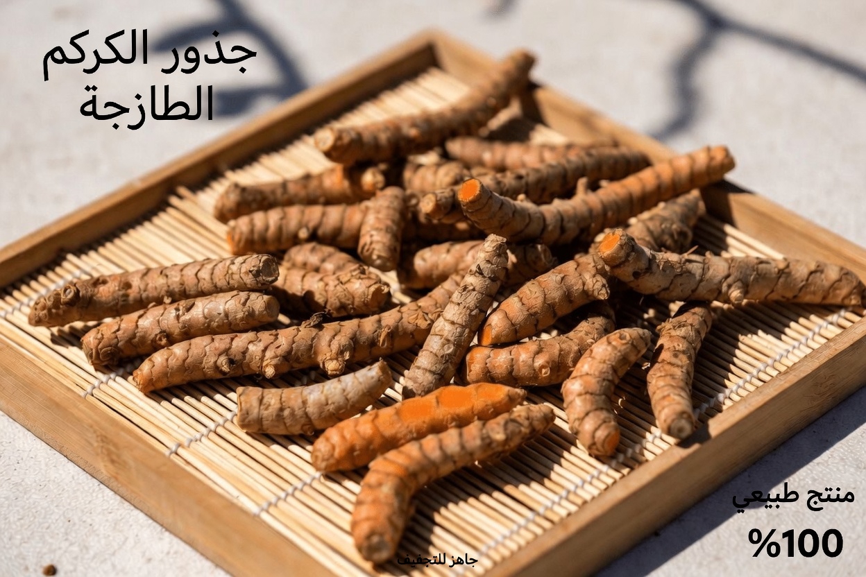 لا تتناول الكركم أبدًا مع هذه الأطعمة الثلاثة: ماذا يقول العلم عن العادات اليومية الذكية من أجل العافية