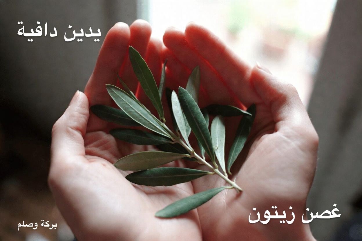 هذا النوع من الأوراق قد يساعد في الوقاية من السرطان، سرّ لم يكشفه الأطباء!