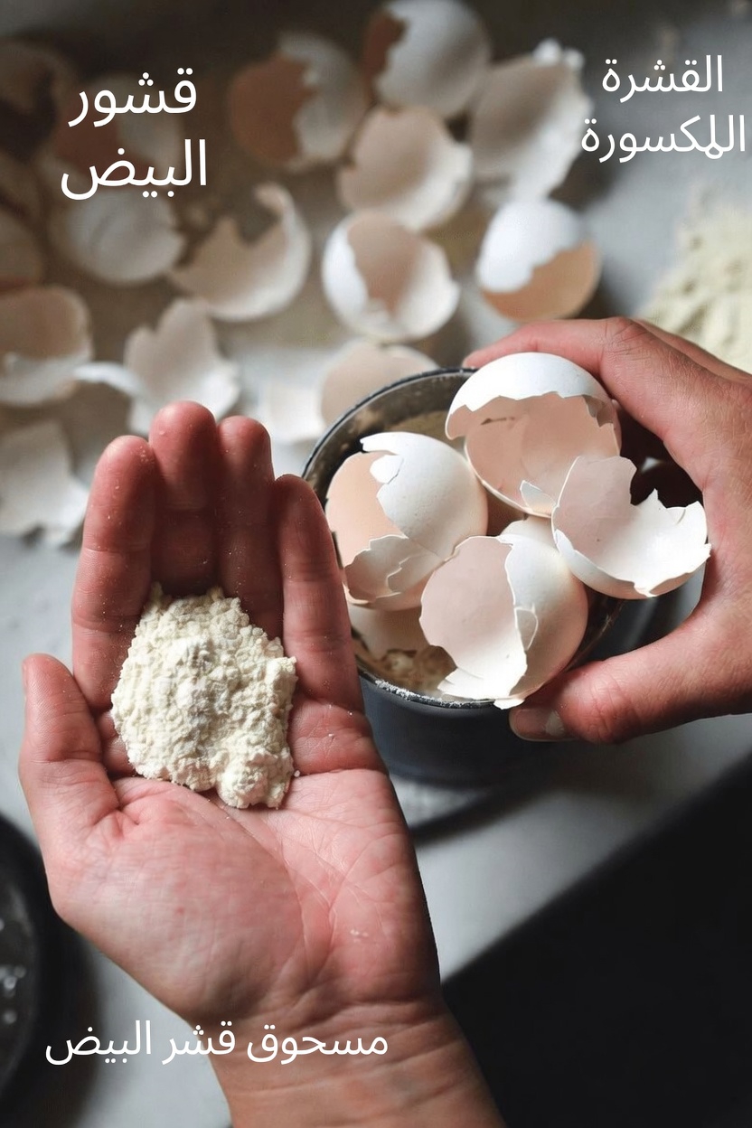 لا ترمِ قشور البيض مجددًا بعد قراءة هذا – لن تصدق مدى فائدتها!