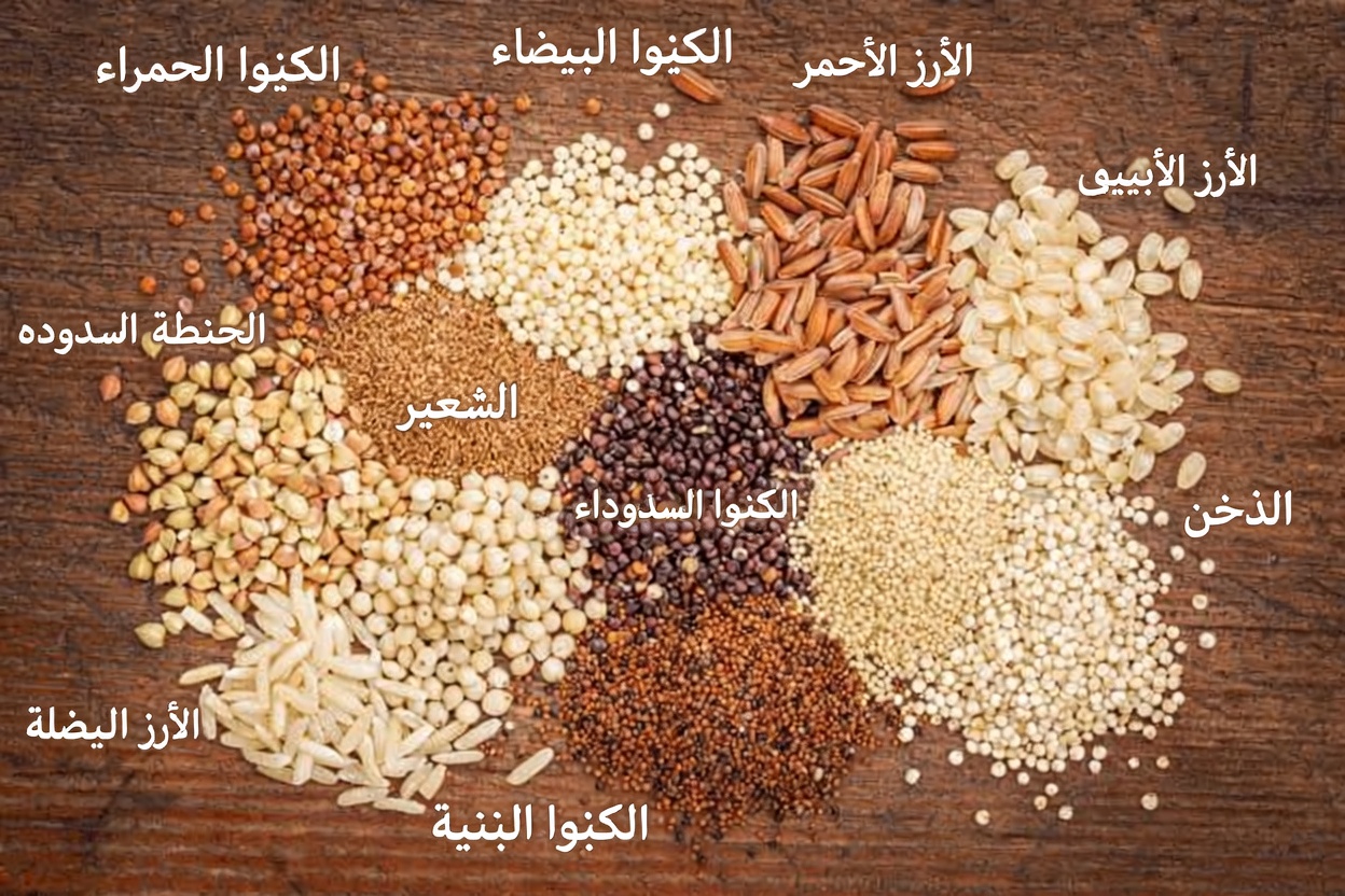 اكتشف 9 أطعمة يومية قد تدعم بشكل طبيعي عملية الالتهام الذاتي في جسمك – رؤى مستندة إلى أبحاث حائزة على جائزة نوبل