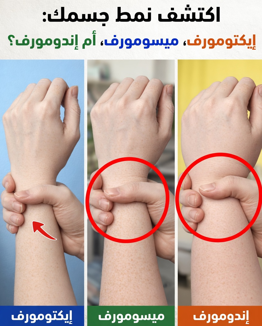 هل أنت من ذوي الجسم النحيف أم العضلي أم الممتلئ؟ اكتشف نوع جسمك وكيف تحقق أقصى استفادة منه