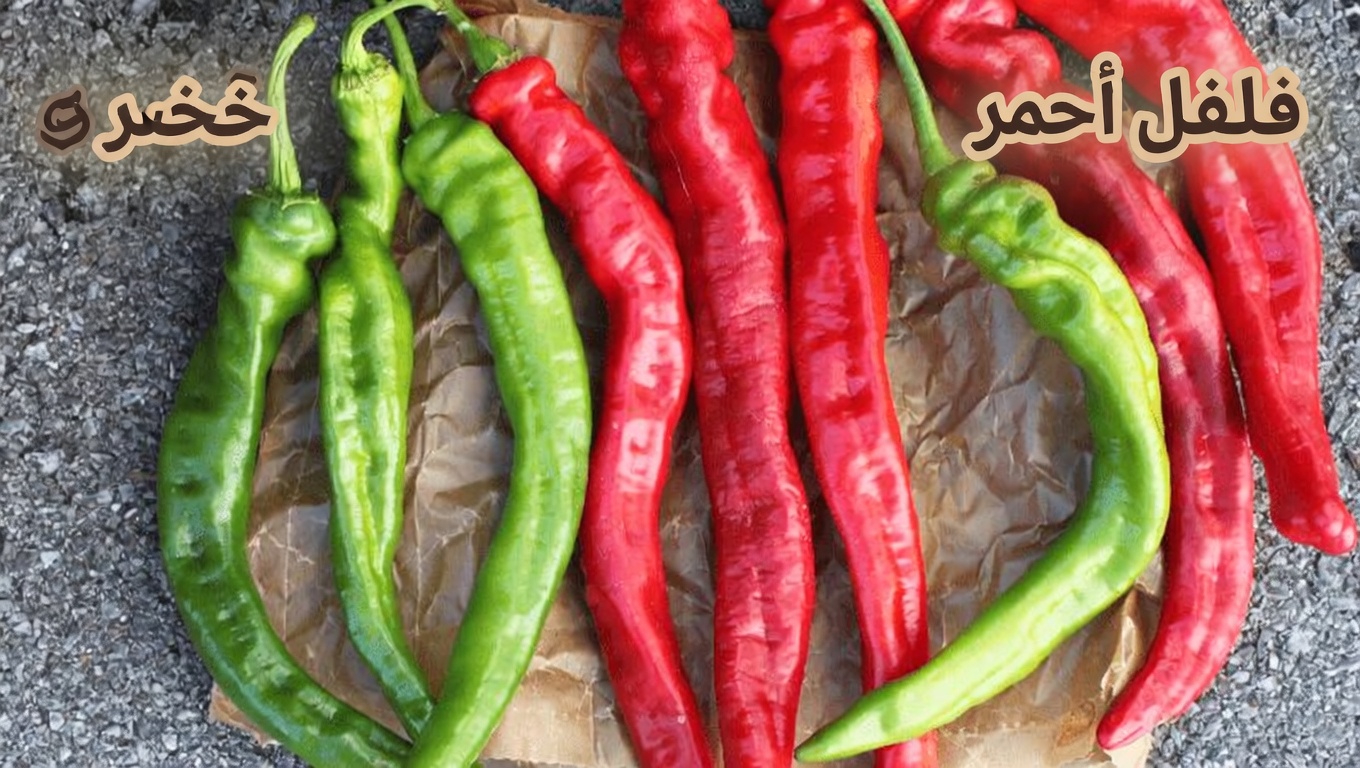 6 أعشاب قوية قد تساعد في دعم الدورة الدموية الصحية وتقليل خطر تجلط الدم بشكل طبيعي