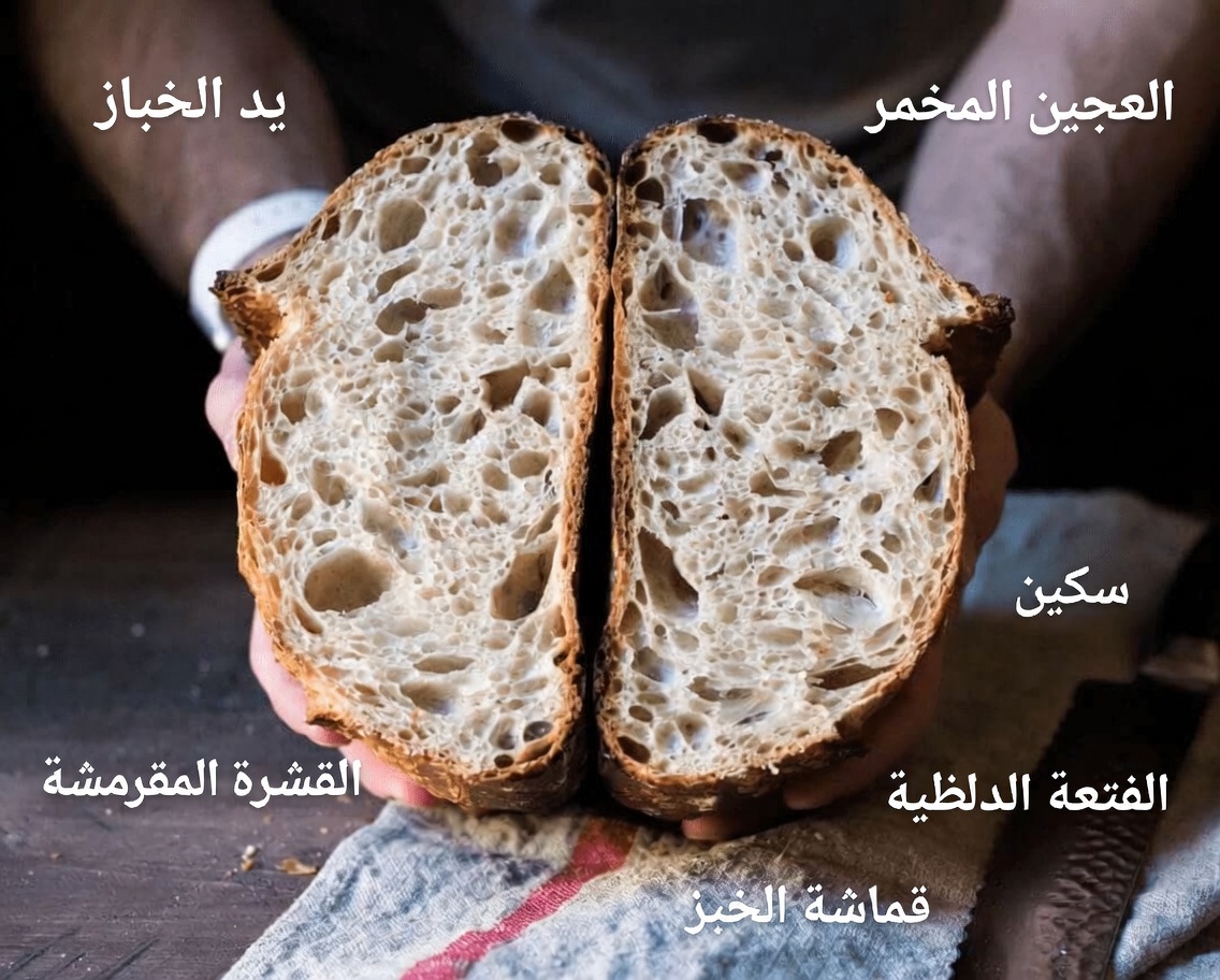 اكتشف أفضل 5 أنواع من الخبز التي يمكن أن تساعد في دعم استقرار مستويات السكر في الدم – دليلك اليومي