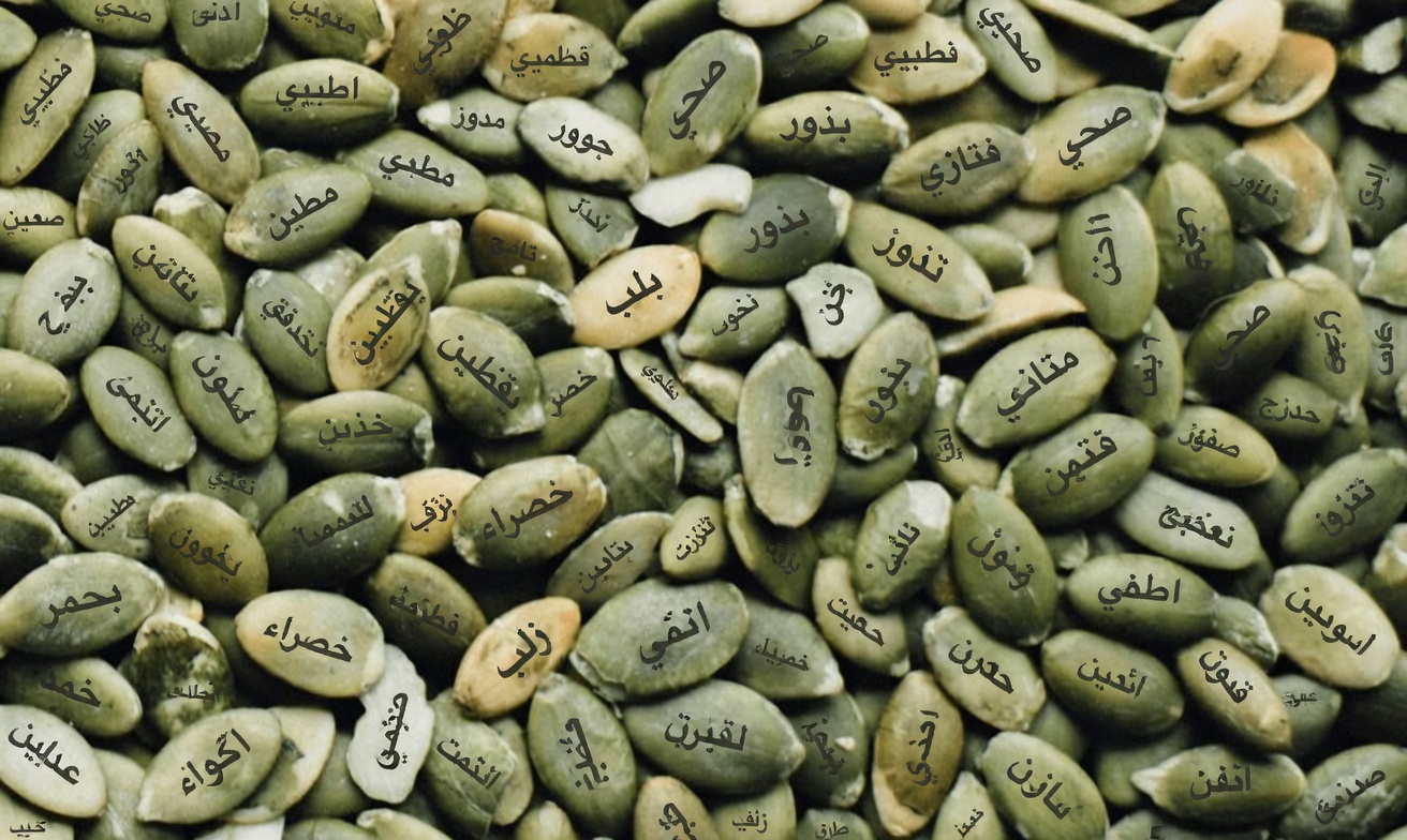 أفضل 5 أنواع من المكسرات والبذور للمساعدة في دعم قوة عضلات الساقين والذراعين لدى كبار السن