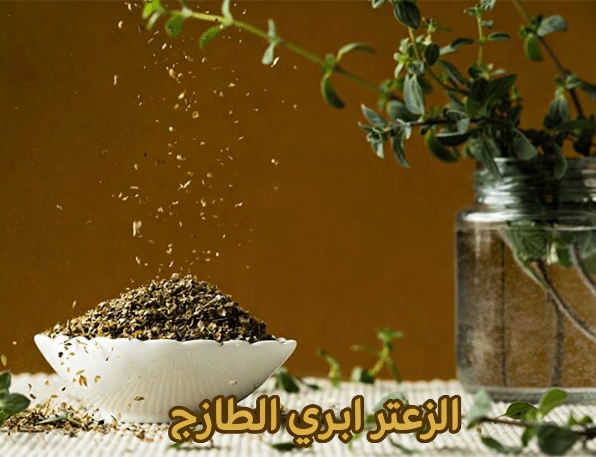 الأوريجانو لصحة العين: اكتشف كيف قد تدعم هذه العشبة المنزلية روتينك اليومي للعناية بصرك