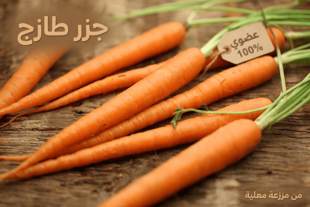 اكتشف كبار السن الأطعمة السبعة التي كان الدكتور نورمان ووكر يدرجها يوميًا في روتينه لشيخوخة مفعمة بالحيوية