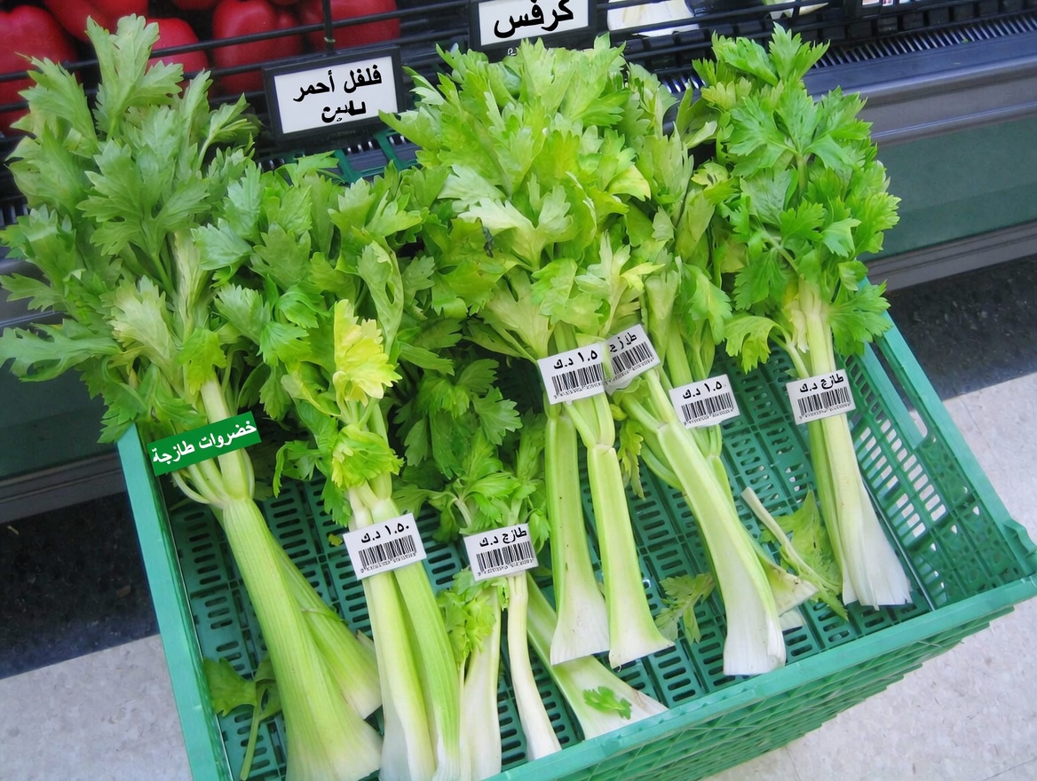 اكتشف كبار السن الأطعمة السبعة التي كان الدكتور نورمان ووكر يدرجها يوميًا في روتينه لشيخوخة مفعمة بالحيوية