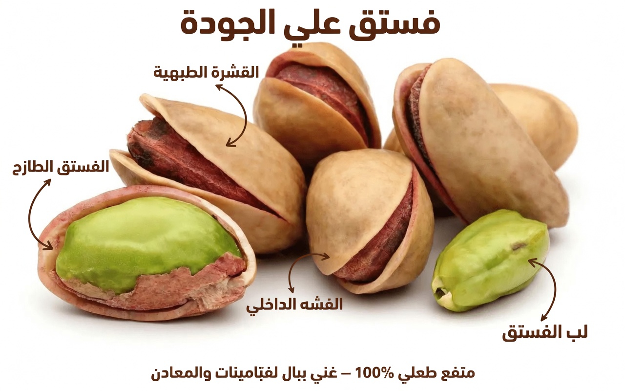 هل الكرياتينين مرتفع جدًا؟ تجنب هذه المكسرات الثلاث في نظامك الغذائي وجرّب بذور الكتان بدلًا منها لتعزيز العافية اليومية