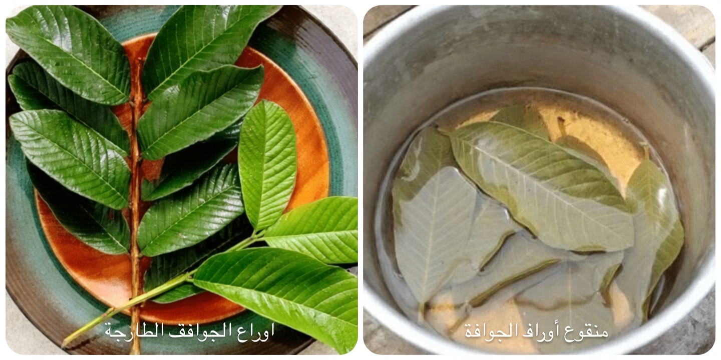 3 أوراق شائعة لديك في المنزل قد تساعد في دعم وظائف الكبد والصفراء بشكل طبيعي