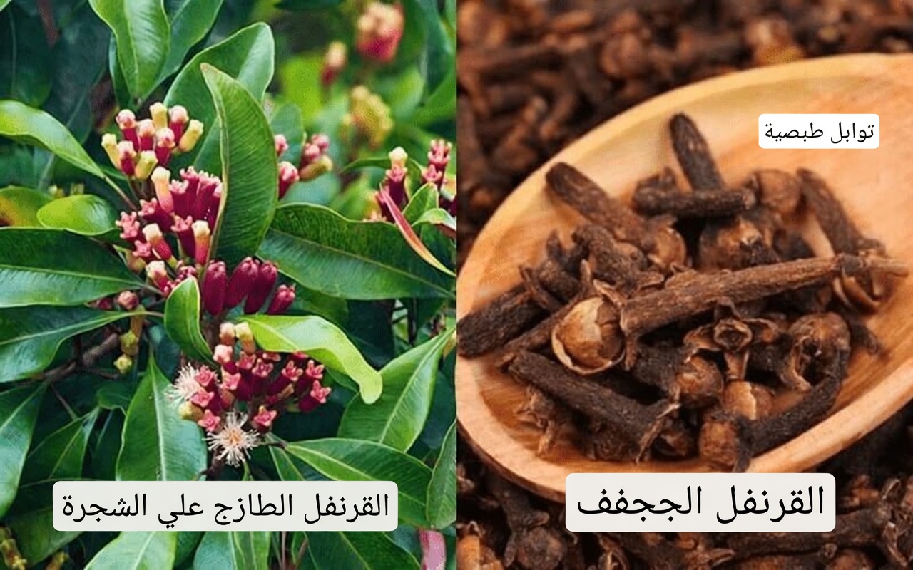 ماذا يحدث لجسمك عندما تأكل فصين من الثوم كل يوم لمدة 7 أيام؟