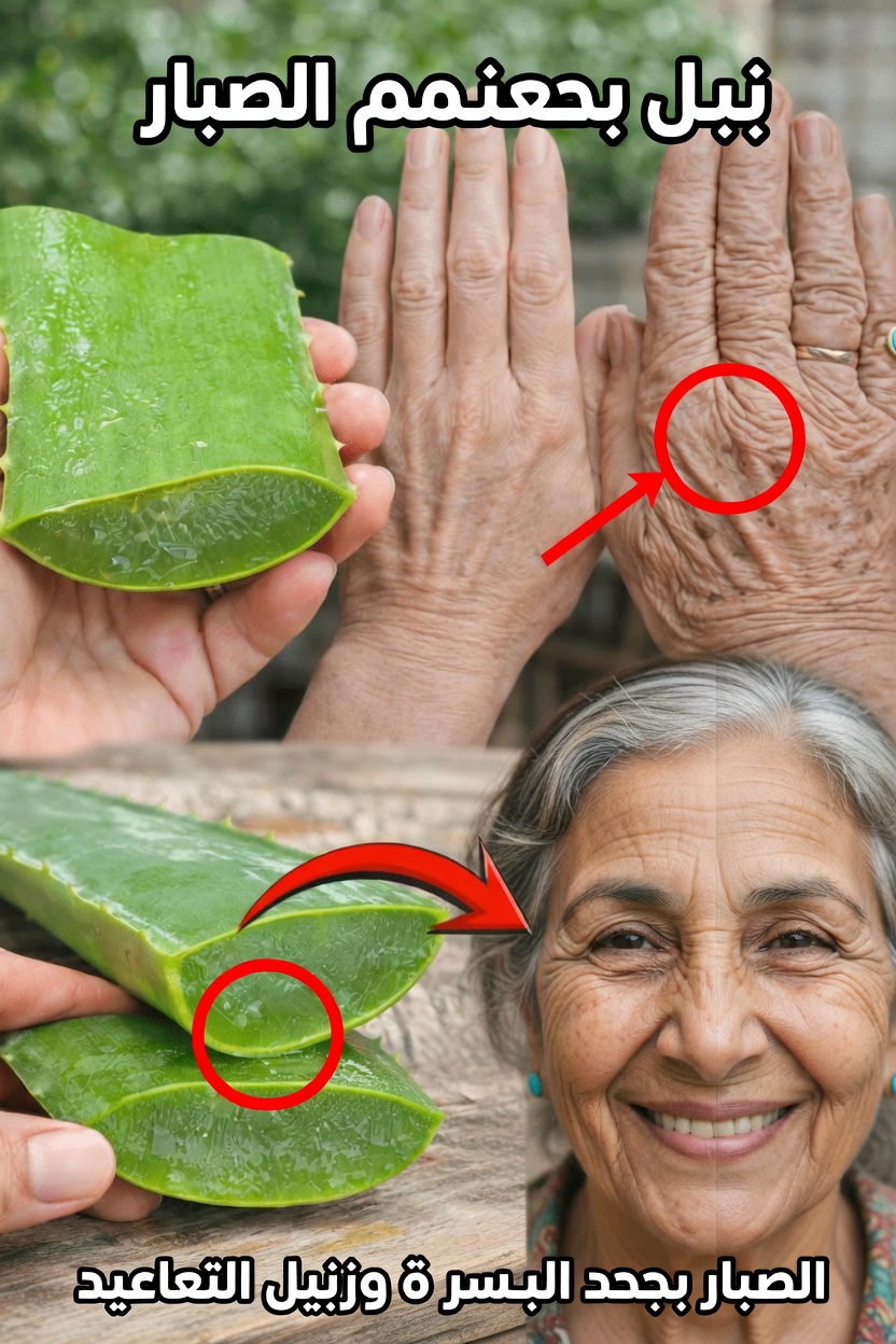 اكتشف الحيلة اليابانية باستخدام الألوفيرا للحصول على بشرة أكثر نعومة وترطيبًا في أي عمر