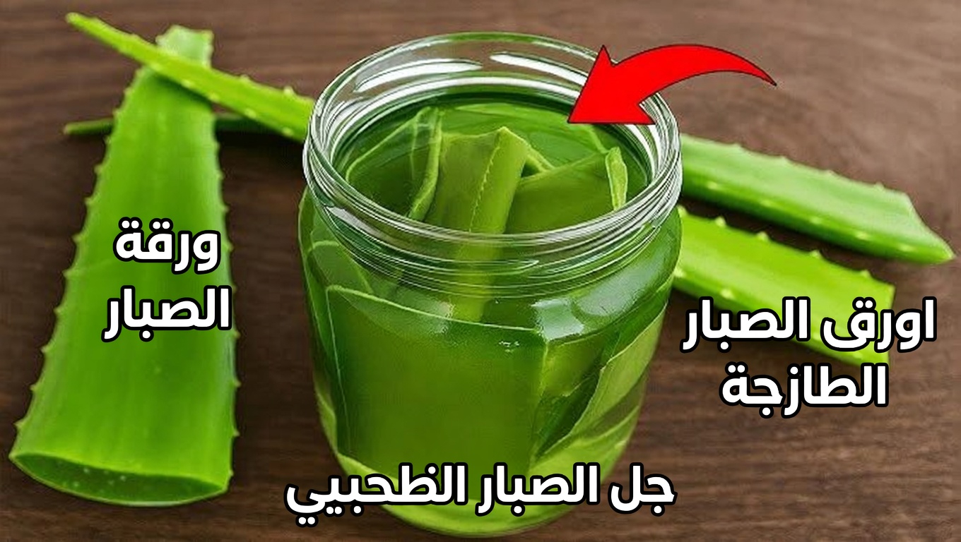 اكتشف الحيلة اليابانية باستخدام الألوفيرا للحصول على بشرة أكثر نعومة وترطيبًا في أي عمر