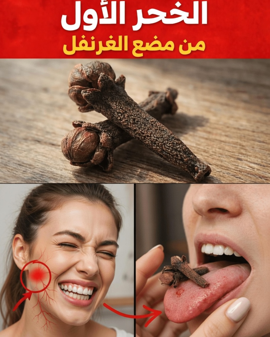 اكتشف لماذا قد يسبب مضغ القرنفل الكامل انزعاجًا في الفم وكيفية استخدامه بأمان كل يوم