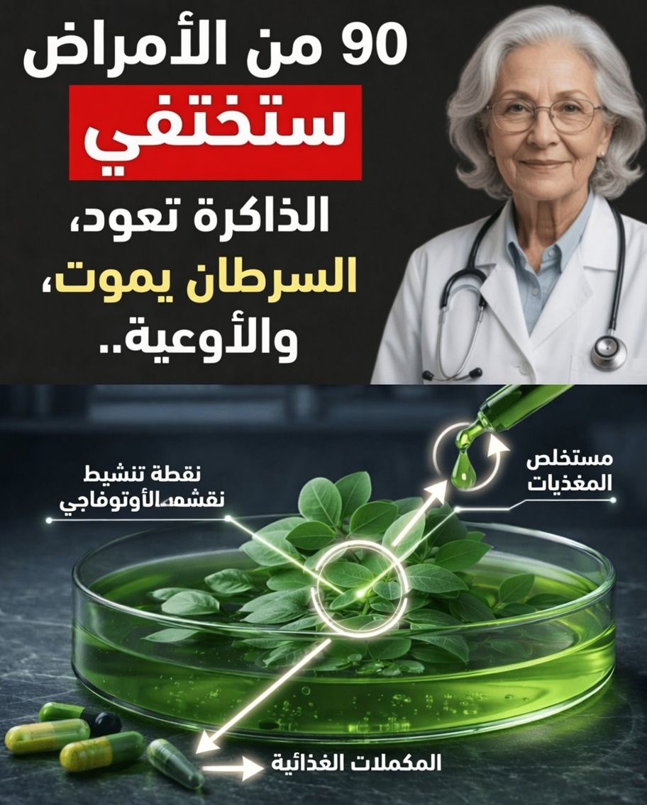 الإيقاع اليومي لتناول الطعام الذي يتّبعه المعمّرون اليابانيون ليشيخوا بقوة أكبر ويحافظوا على استقلاليتهم أكثر