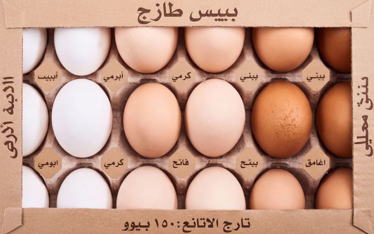 4 أنواع من البروتينات تستحق أن تكون ضمن النظام الغذائي لصحة الكلى و6 أنواع ينبغي الحد منها بحذر لتحسين التحكم