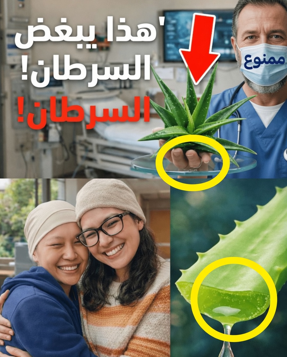 كيف يغيّر النهج الشمولي لباربرا أونيل الحوار حول رعاية السرطان ودعم العافية