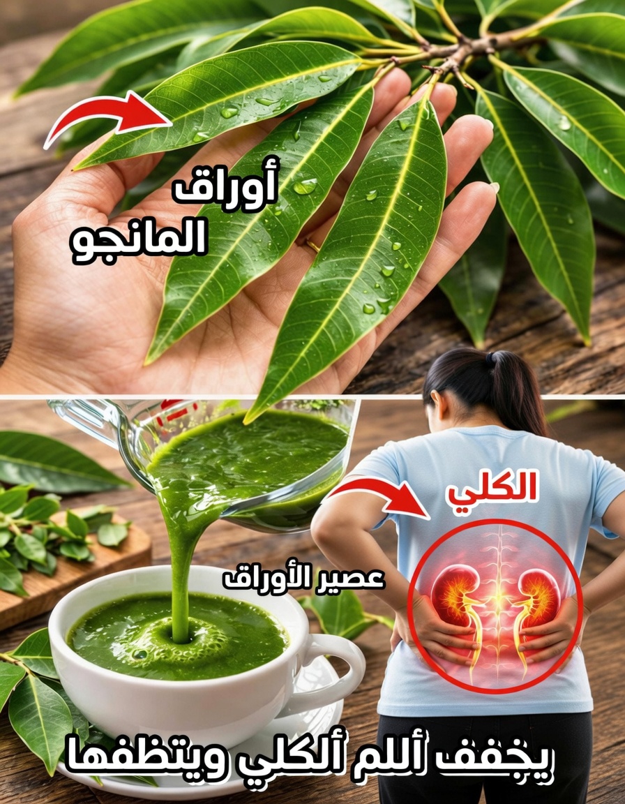 اكتشف الفوائد الصحية الخفية والاستخدامات المنزلية البسيطة لأوراق المانجو في روتينك اليومي