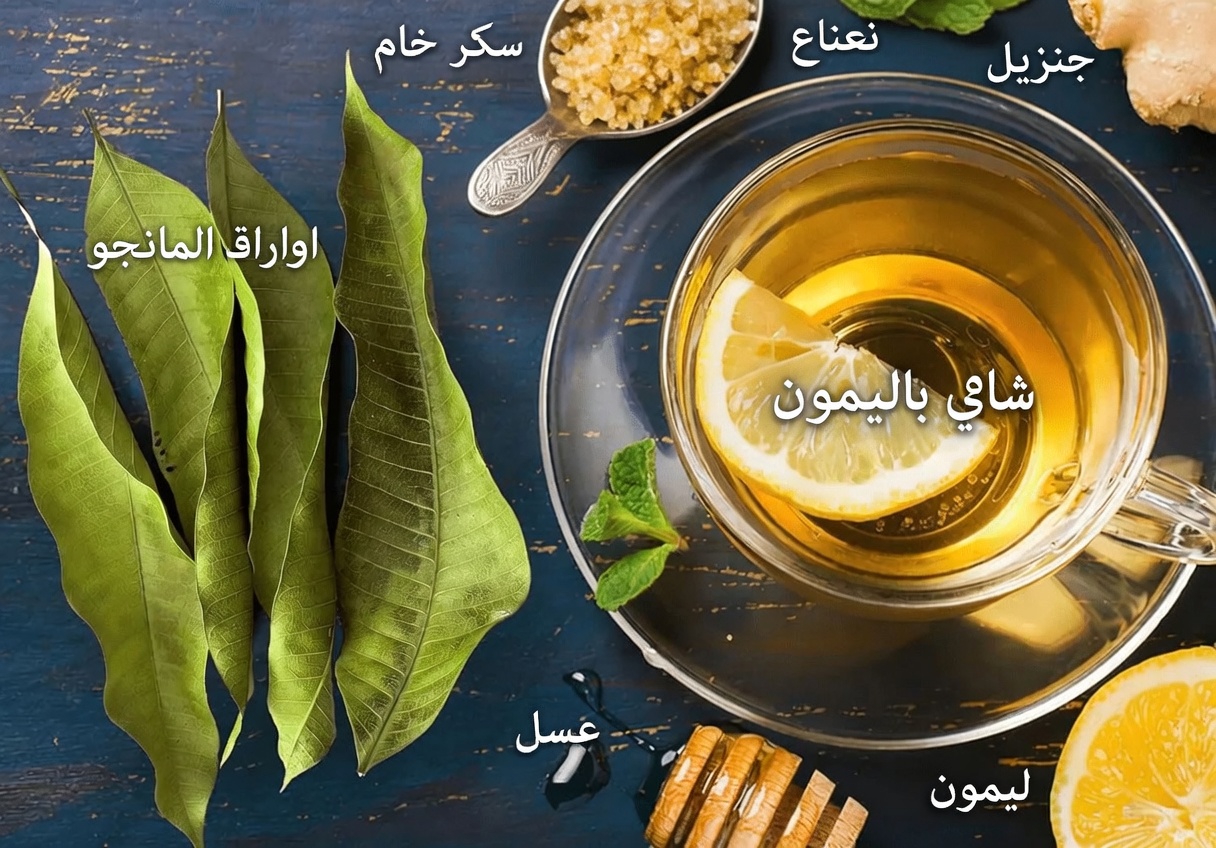 اكتشف الفوائد الصحية الخفية والاستخدامات المنزلية البسيطة لأوراق المانجو في روتينك اليومي