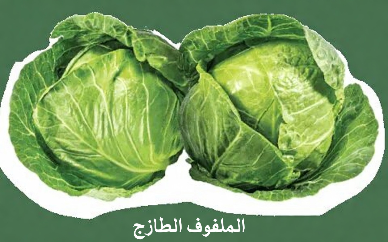 اكتشف أفضل 5 خضروات قد تساعد طبيعيًا في دعم مستويات الكرياتينين الصحية ووظائف الكلى