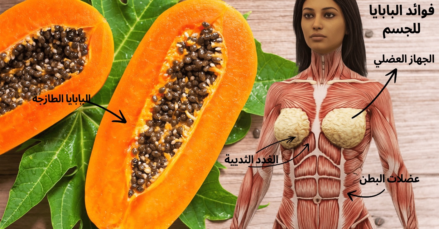 ماذا يحدث لجسمك عند تناول شريحة من البابايا؟ اكتشف التأثيرات الطبيعية البسيطة