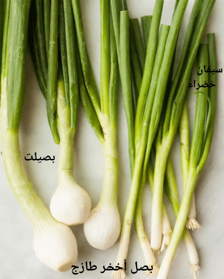 اكتشف أفضل 10 أطعمة خارقة يمكن أن تدعم وظائف الكلى وتعزز صحة المسالك البولية بشكل طبيعي